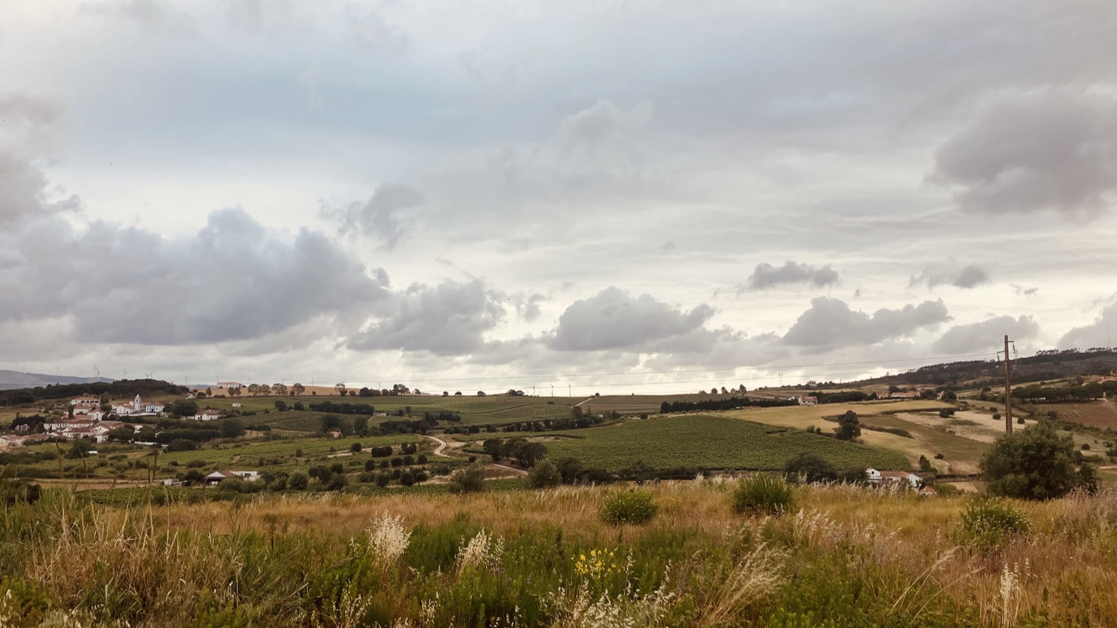 Paisagem da aldeia da Filha Boa: colinas verdes, vinhas e céu nublado, perto de Lisboa